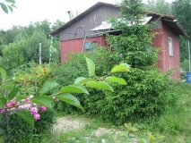 СНТ, д. Чернецкое (Кленово), заезд от дер. Панино, новая Москва, Кленовское поселение, по Симферопольскому шоссе 50 км от МКАД, земельный участок 6 сот